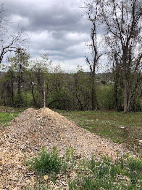 0111 Ridge Rd — photo 2