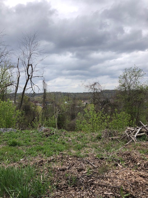 0111 Ridge Rd — photo 3