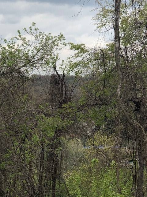0111 Ridge Rd — photo 6
