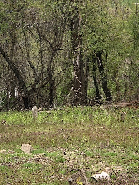 0111 Ridge Rd — photo 7
