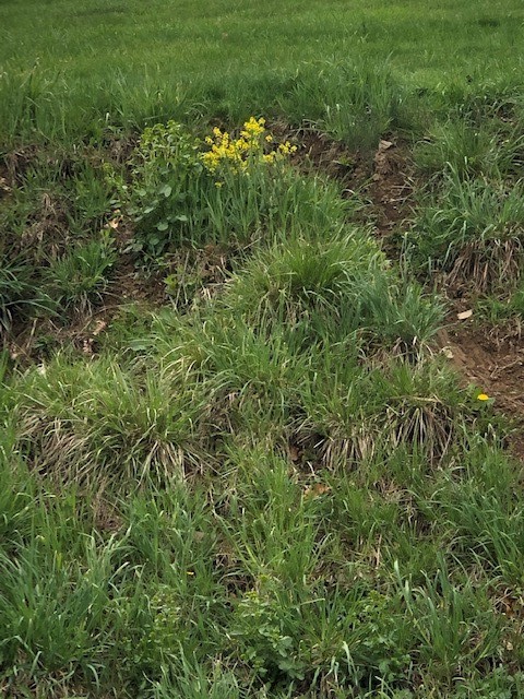 0111 Ridge Rd — photo 8