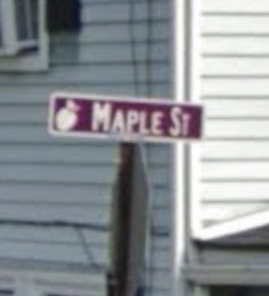 9118 Maple St — photo 7
