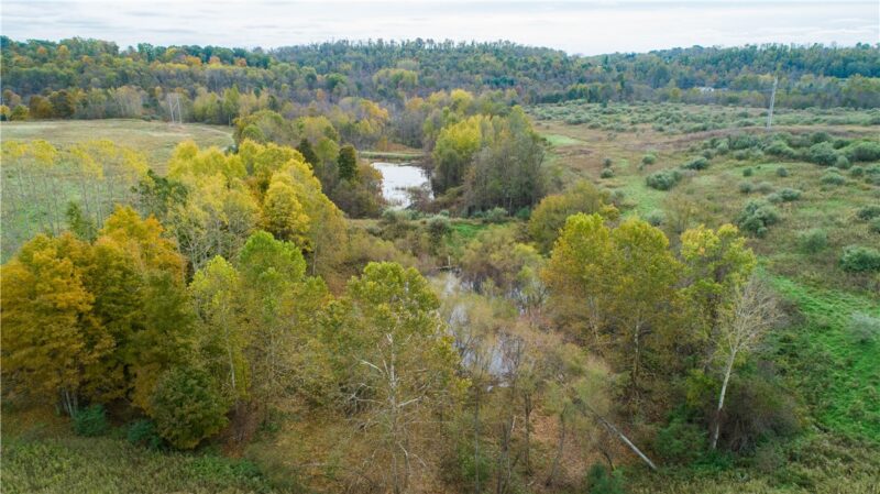 750 North Branch Road — photo 8