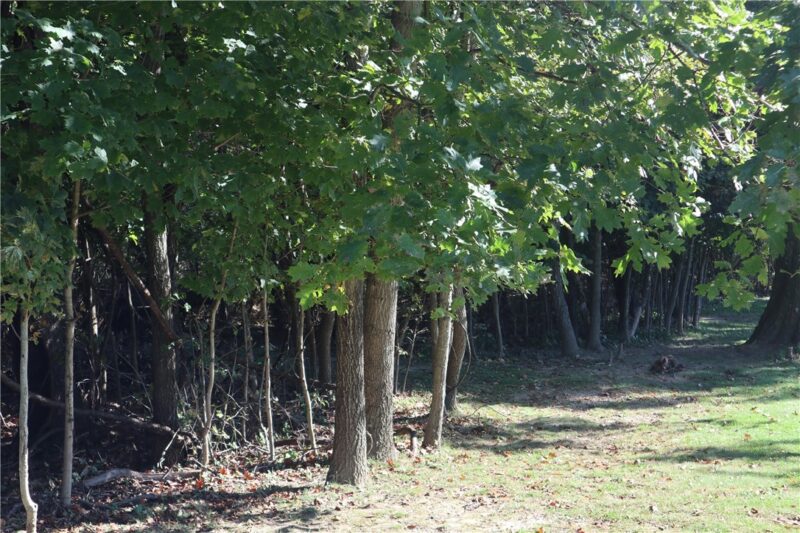 0 Watkins Road — photo 2
