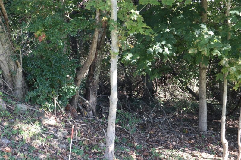 0 Watkins Road — photo 3