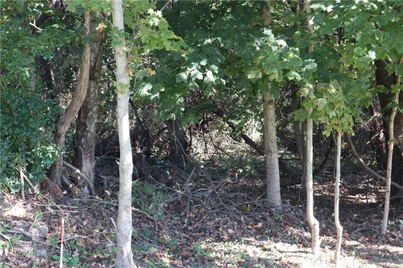 0 Watkins Road — photo 4