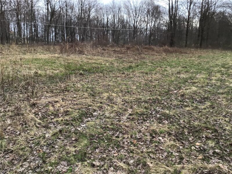 0 Walnut Dr — photo 3