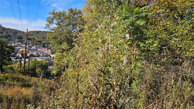 0 Observation St — photo 2