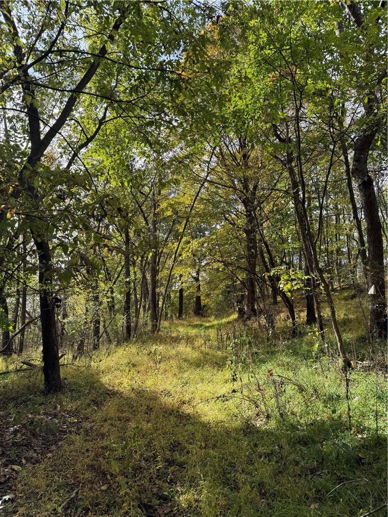 181 Pine Hollow Rd — photo 5