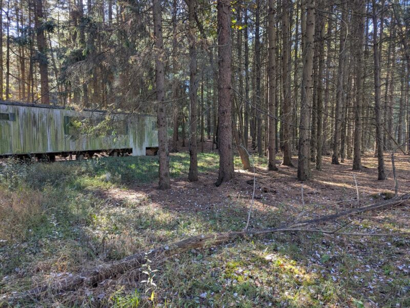 156 Corry ROAD — photo 4