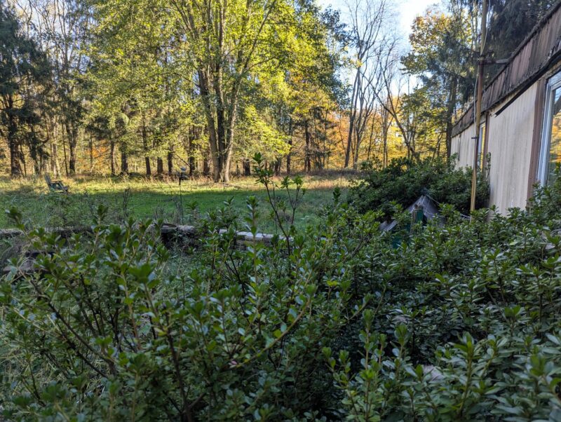 156 Corry ROAD — photo 8