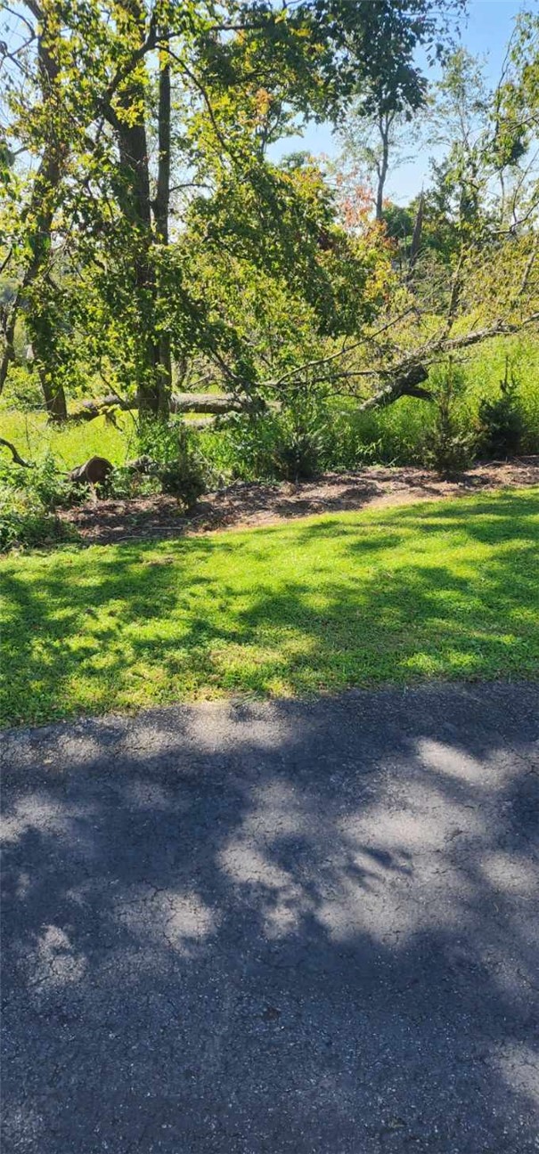 0 Watson Road — photo 3