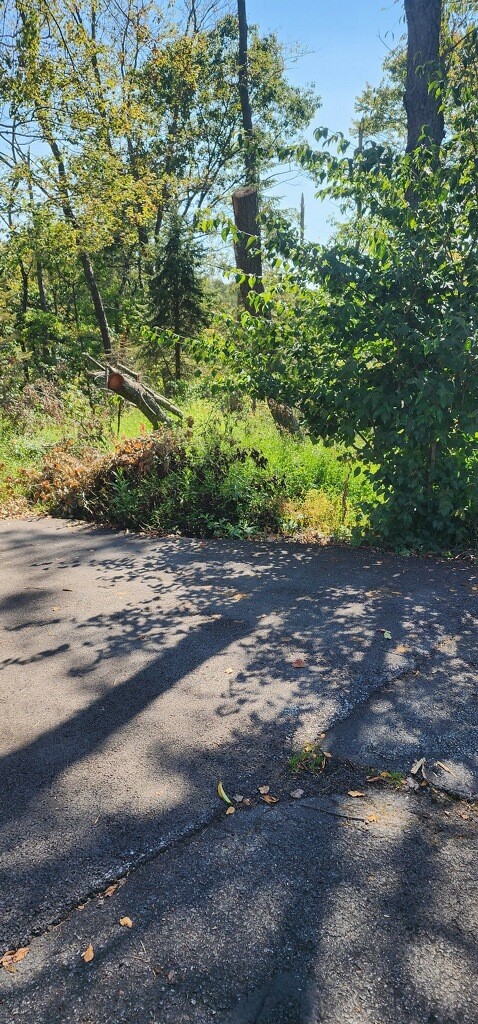 0 Watson Road — photo 4