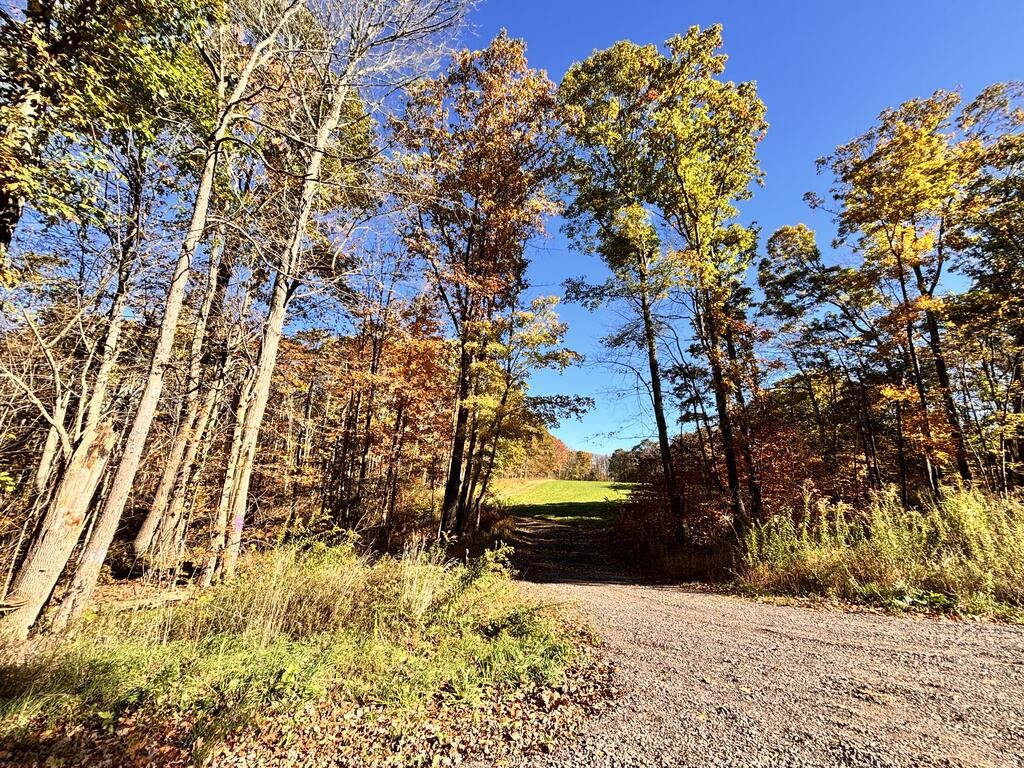 00 Mountain Road — photo 1