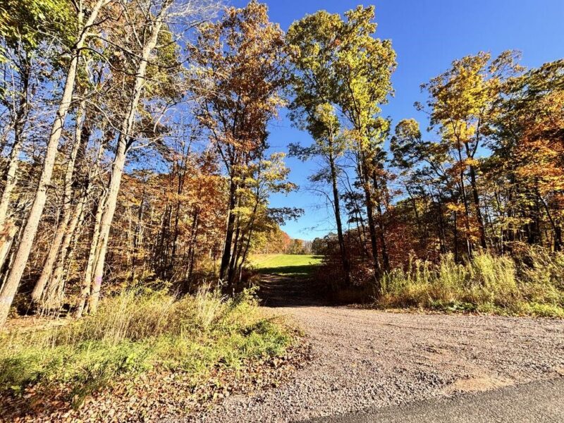 00 Mountain Road — photo 2