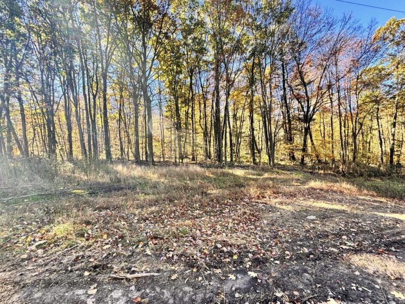 00 Mountain Road — photo 5