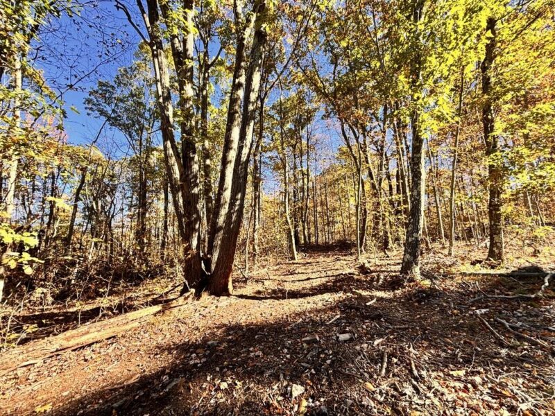 00 Mountain Road — photo 6