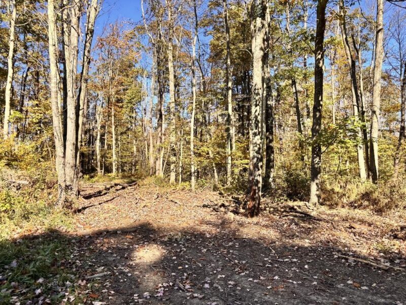 00 Mountain Road — photo 7