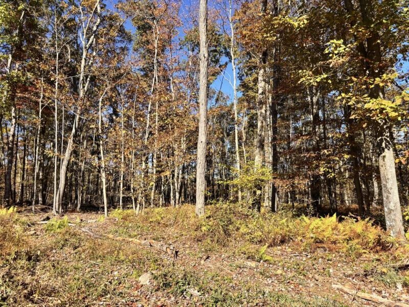 00 Mountain Road — photo 8