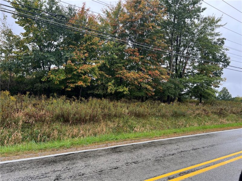 0000 Corner Branchton & Harrisville — photo 4
