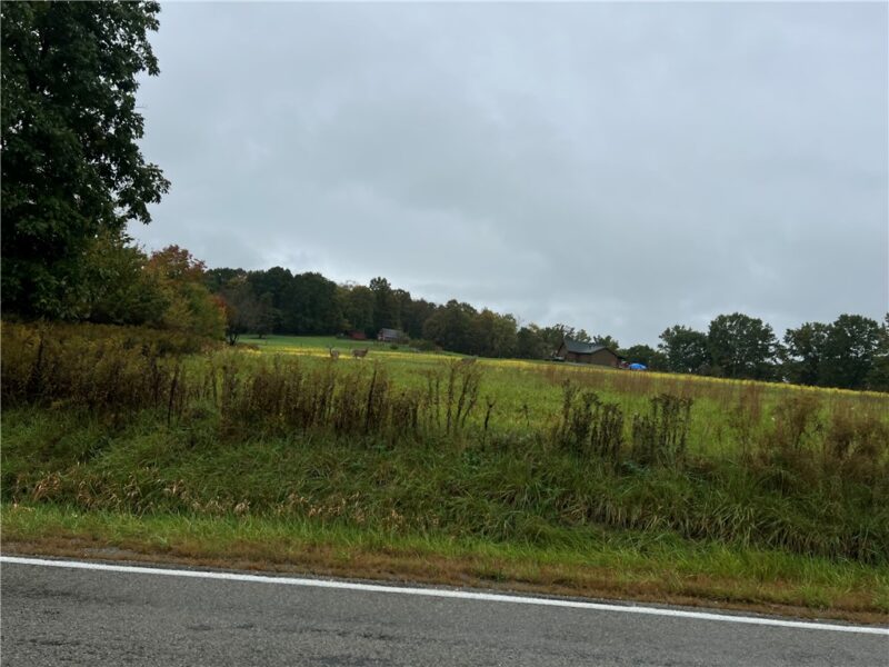 0000 Corner Branchton & Harrisville — photo 7