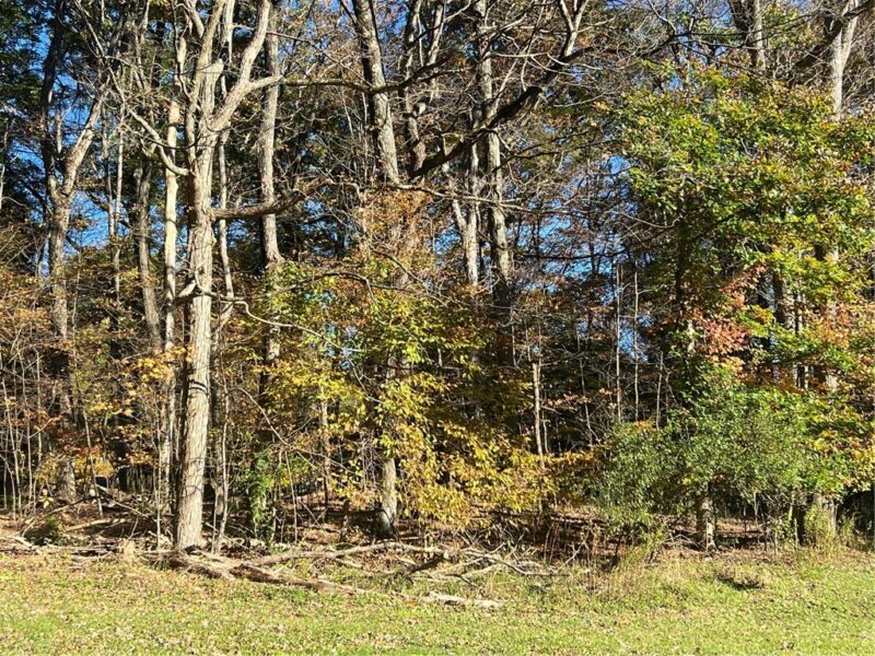 2291 Copper Kettle Hwy — photo 2