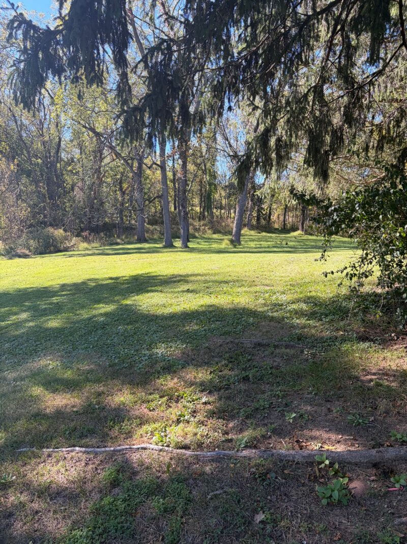 115 Peasant Village Lane — photo 2