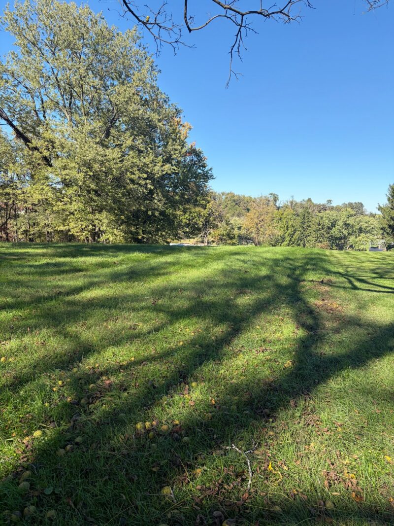 115 Peasant Village Lane — photo 5