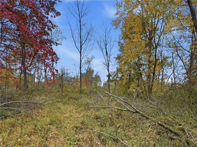 01 Hoover Rd — photo 5