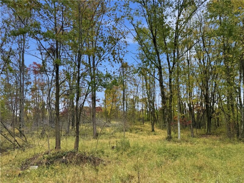 01 Hoover Rd — photo 6