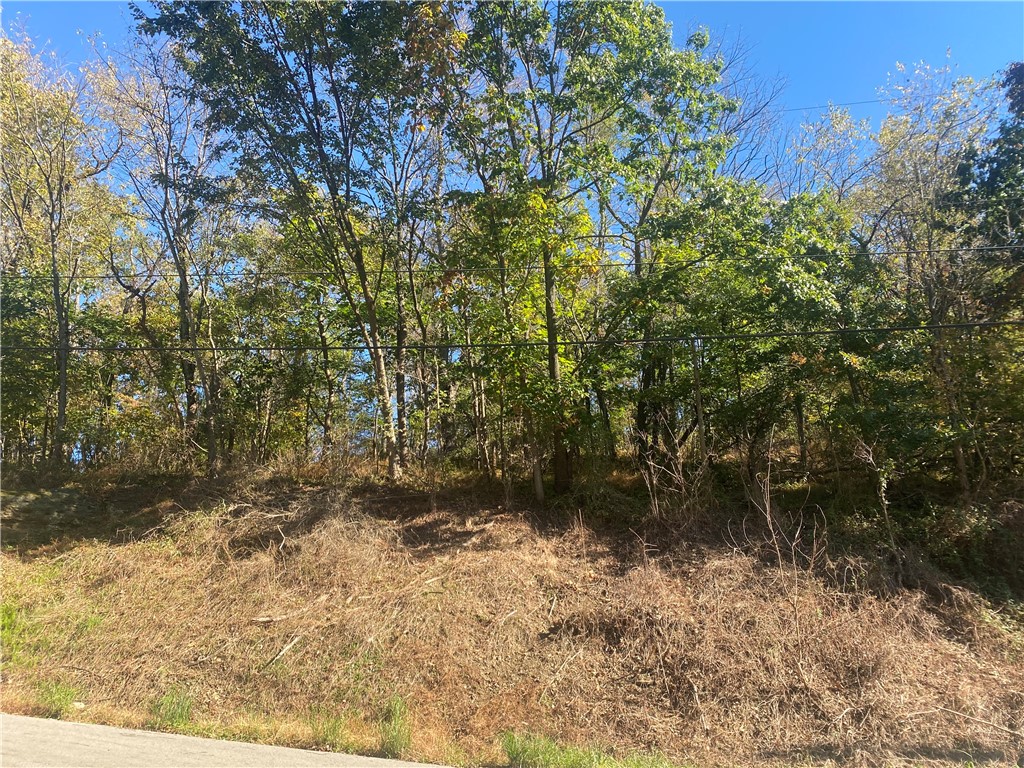 0 Harriet Street — photo 1