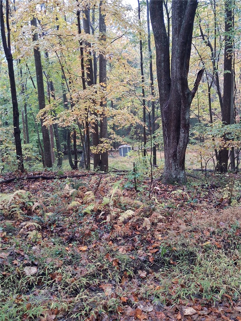 0 Popson Rd — photo 4