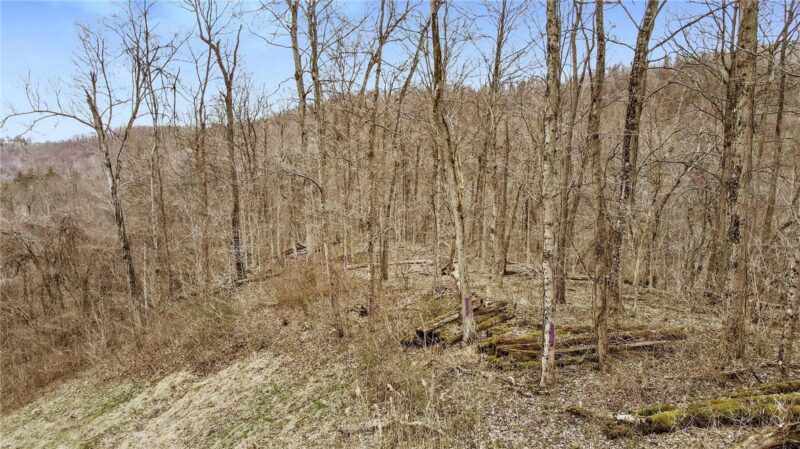 0 Front Street — photo 8