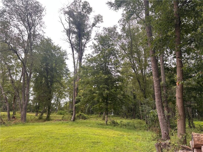 332 WAYNESBURG ROAD — photo 4