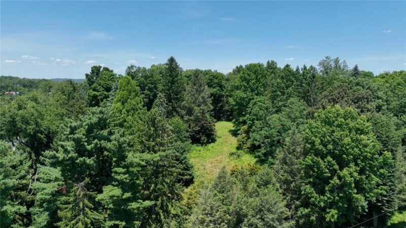 971 Beaver Grade Road — photo 8