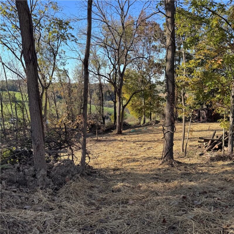 84 Beagle Club Rd — photo 6