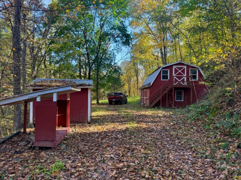 173 Bocktown Cork ROAD — photo 4