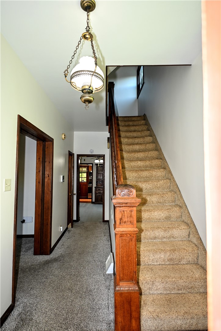 2559 Kingwood St — photo 4