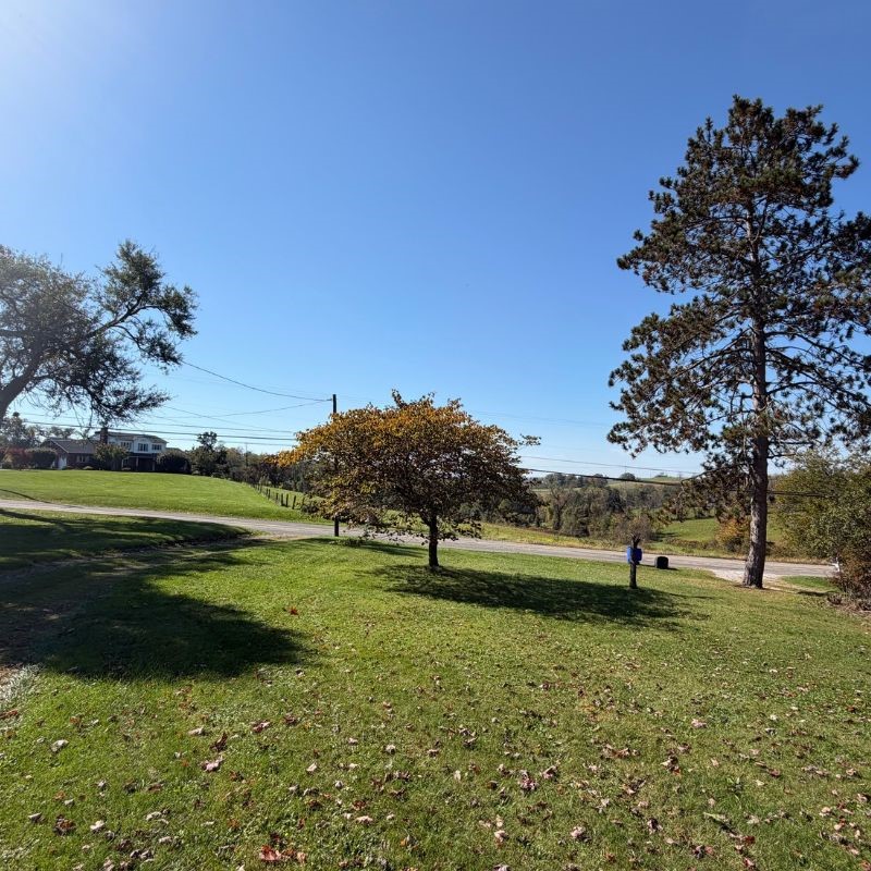 509 Pinkerton Run Rd — photo 3