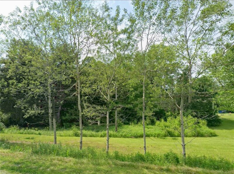 0 Shortcut Road — photo 4