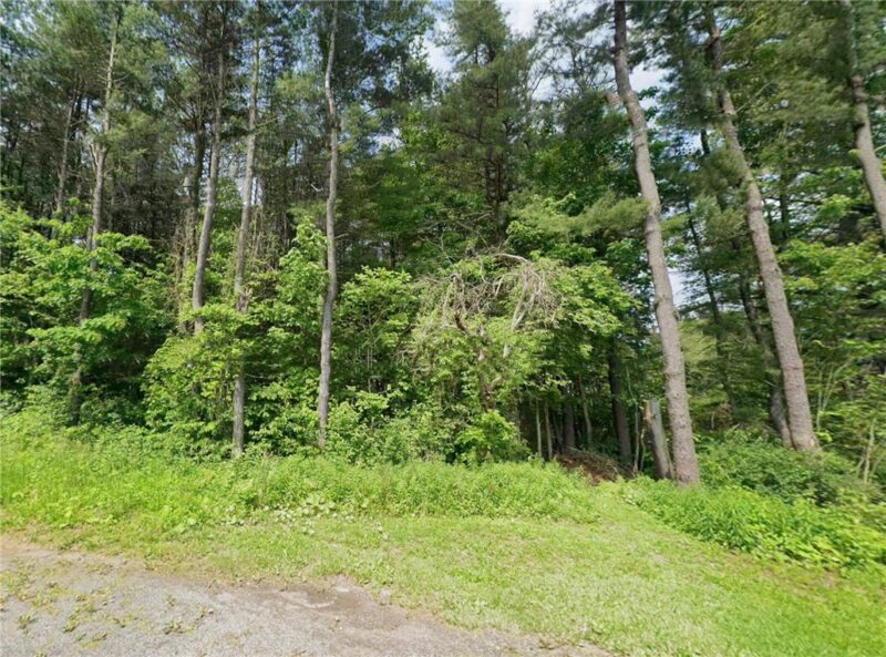 0 Shortcut Road — photo 5