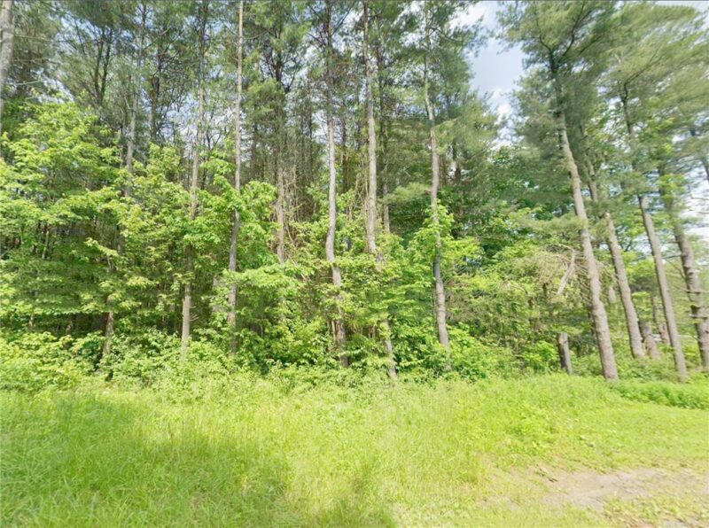 0 Shortcut Road — photo 7