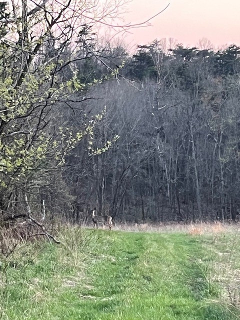 0 Monaca Rd — photo 3