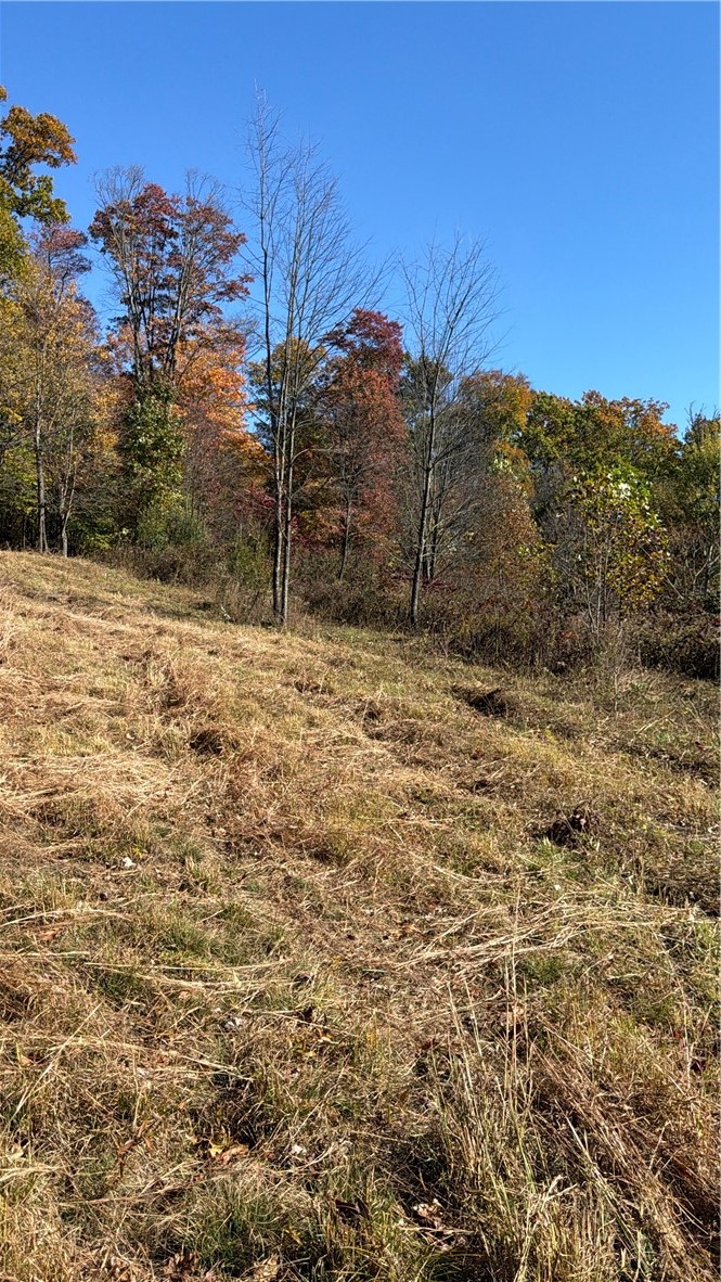 00 Wida Rd — photo 1
