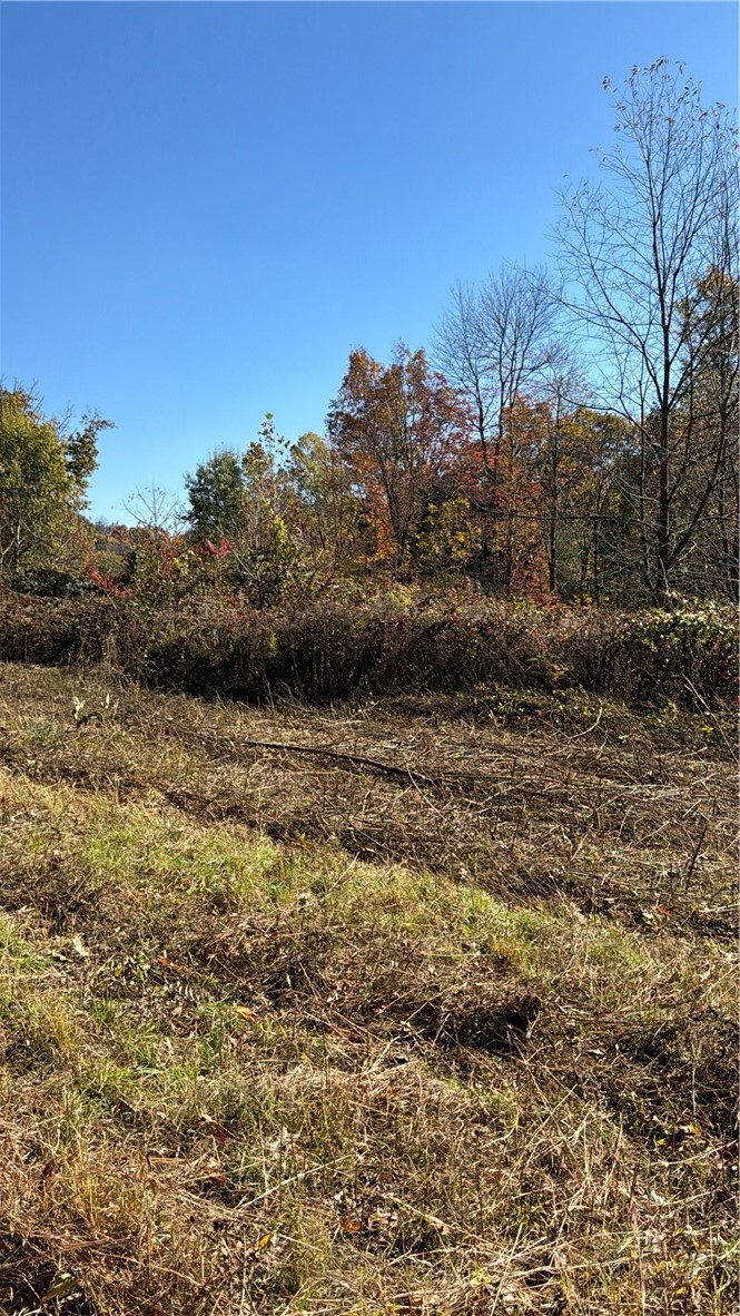 00 Wida Rd — photo 2