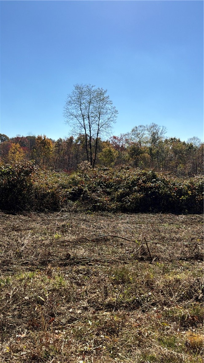 00 Wida Rd — photo 3