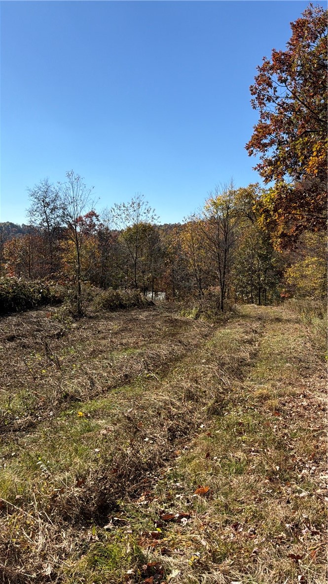 00 Wida Rd — photo 4