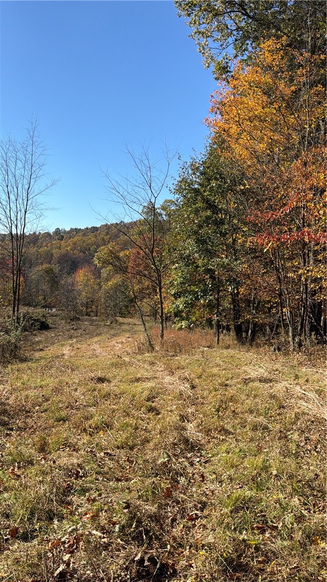 00 Wida Rd — photo 5