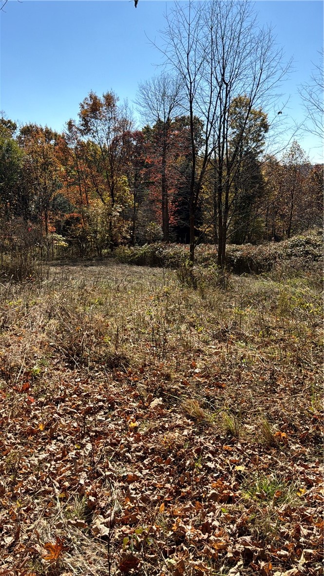 00 Wida Rd — photo 6
