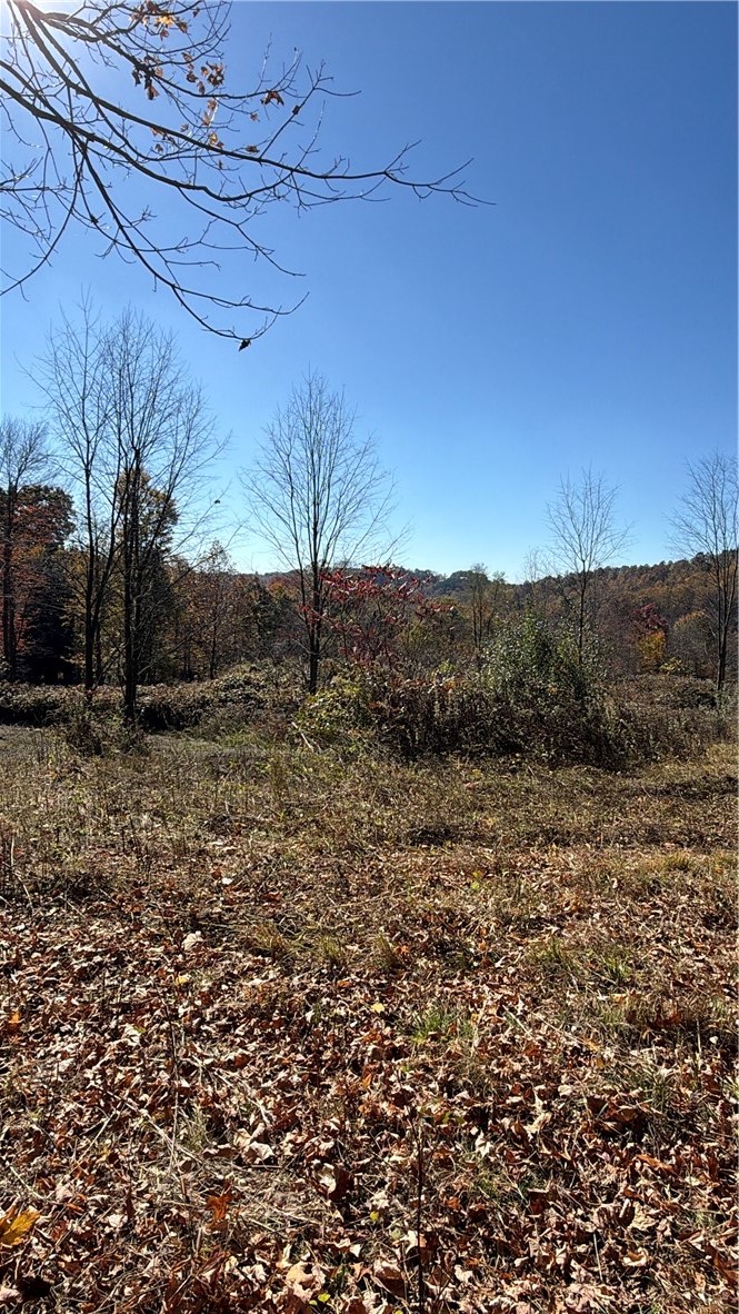 00 Wida Rd — photo 7